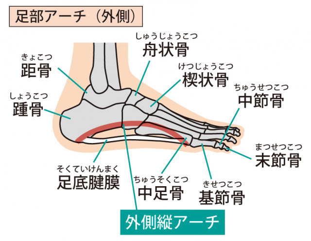 足底筋膜